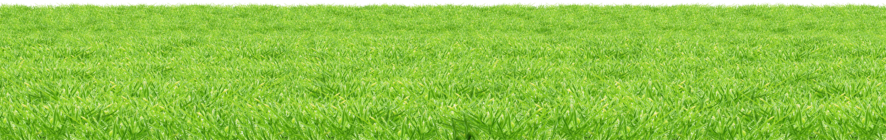 Tappetino a base di erba artificiale