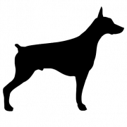 Черный собака