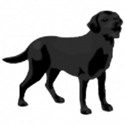 صورة سوداء الكلب PNG