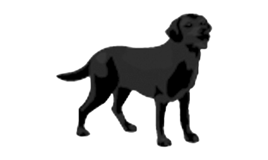 Black Dog PNG Image