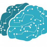 Brain Learning PNG