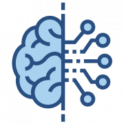 Brain Learning PNG Clipart