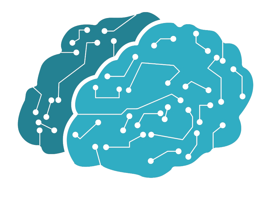 Brain Learning PNG
