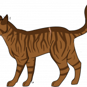 Коричневая абиссинский кот пнн