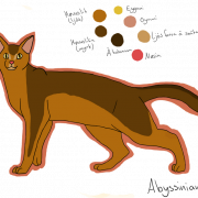 Image pNG de chat abyssinien brun