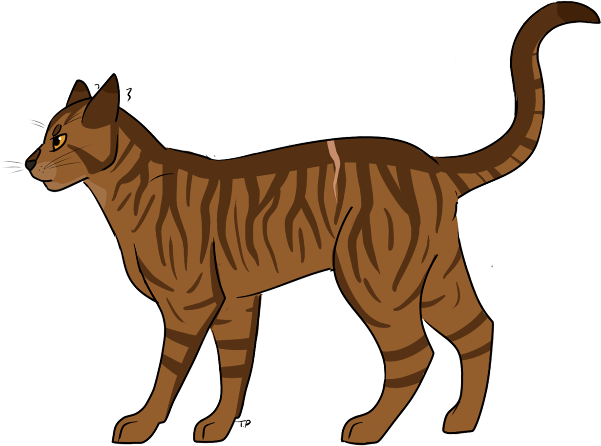 Brown Abyssinian Cat PNG
