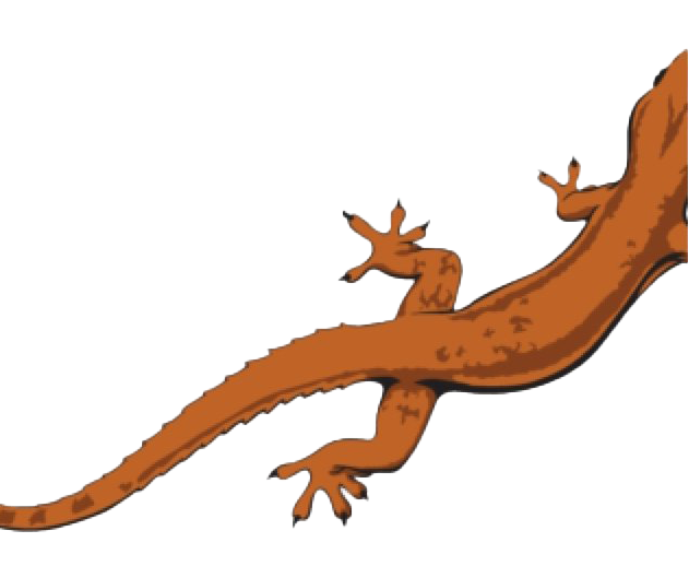 Brown Lizard PNG Free Image - PNG All