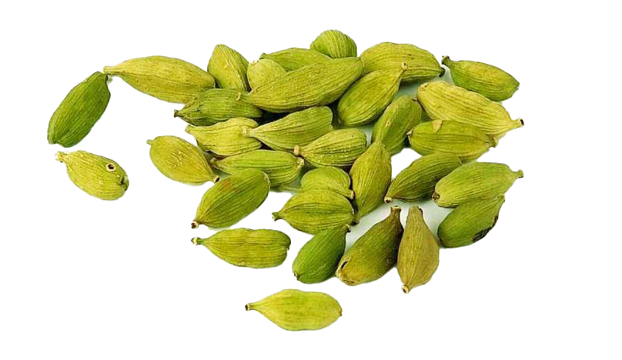 Cardamom PNG Free Download