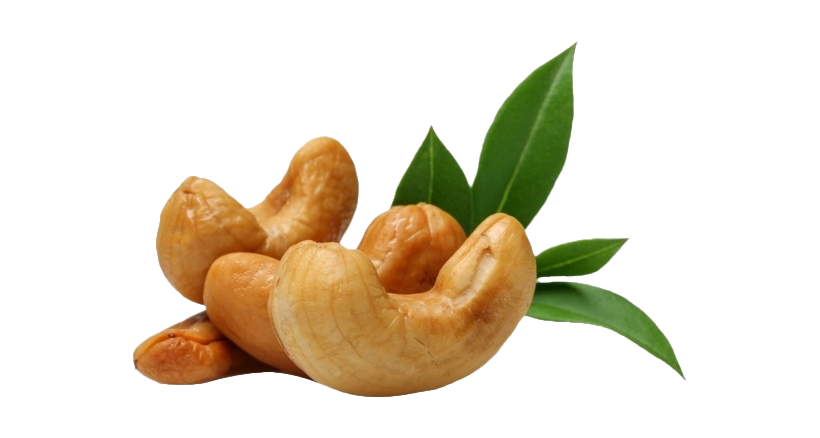 Cashew Nuts PNG Image