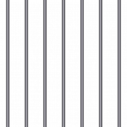 سجن الخلية PNG