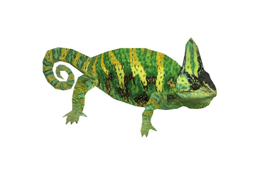 Chameleon PNG Picture