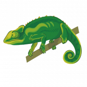 Chamäleon Reptile PNG Download Bild