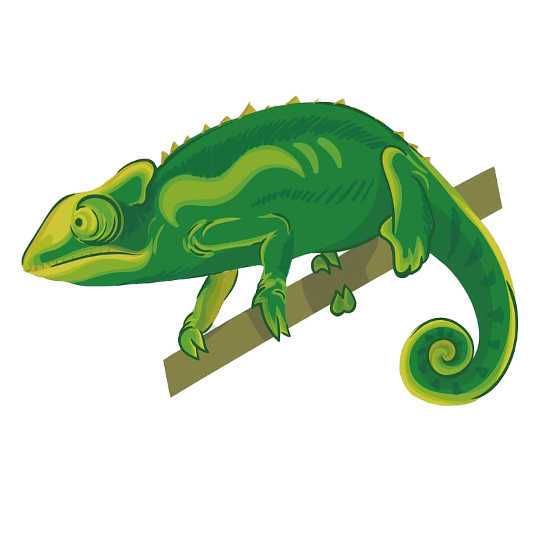 Chameleon Reptile PNG Download Image