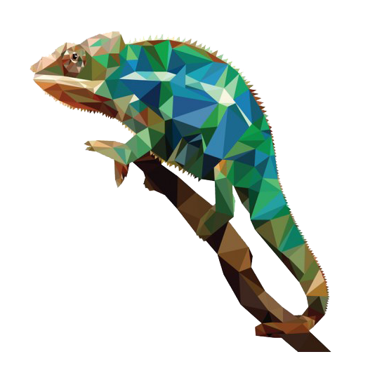 Chameleon Reptile PNG Free Image