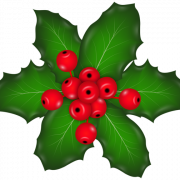 Mistletoe Natal