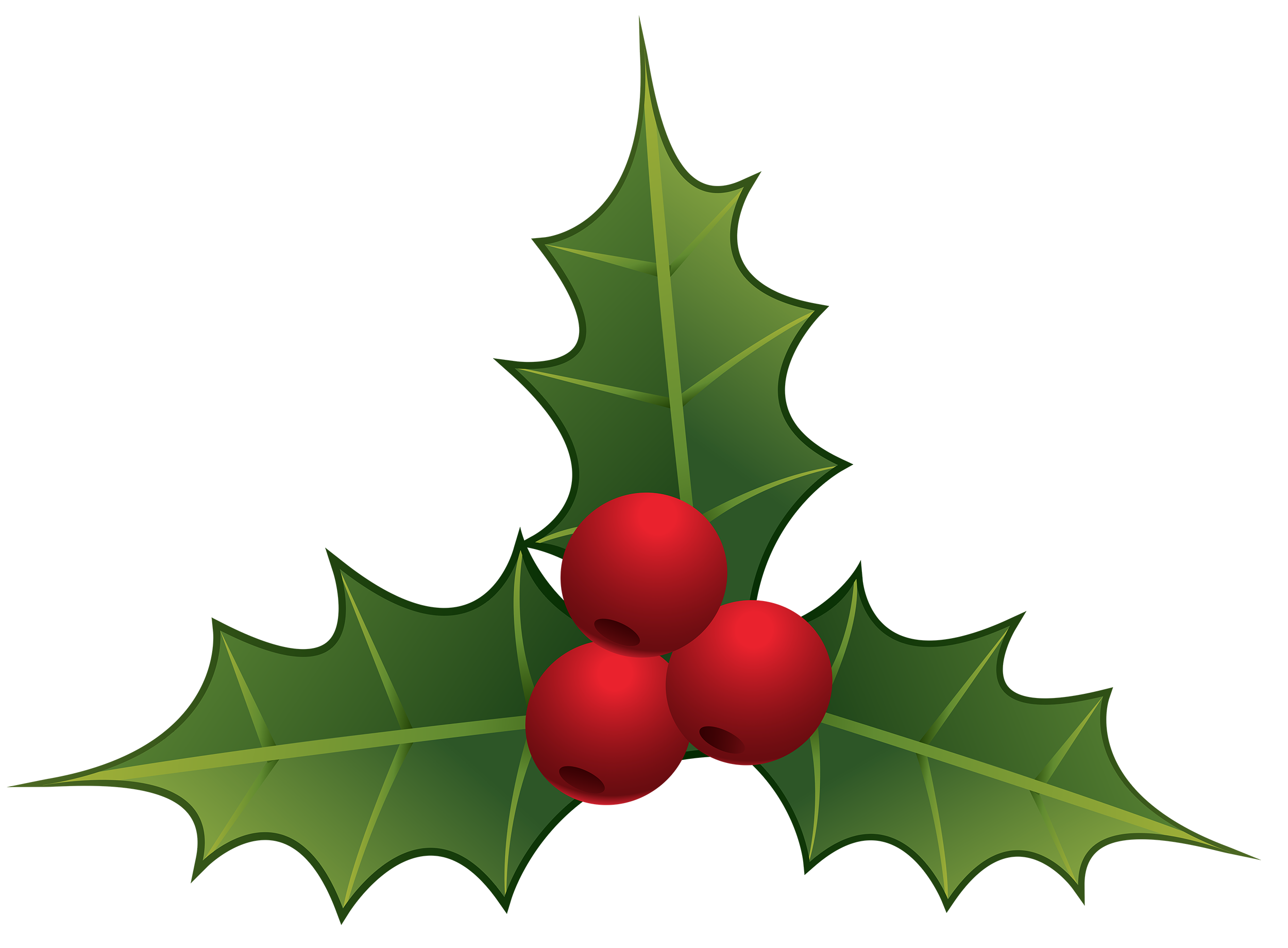 Christmas Mistletoe PNG Free Download