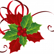 Christmas Mistletoe PNG Image