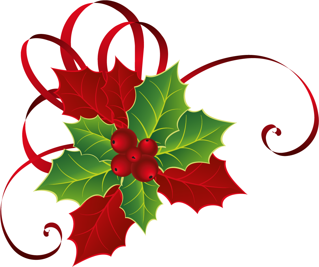 Christmas Mistletoe PNG Image