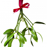 Christmas Mistletoe PNG Picture