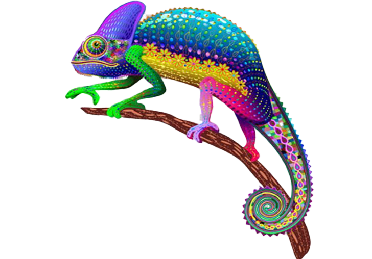Colorful Chameleon Transparent