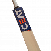 Image PNG de la chauve-souris de cricket