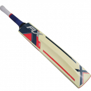 Cricket bat png foto