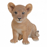 Cute Lion Cub PNG