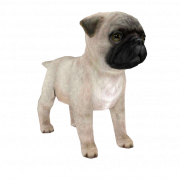 Fofo pug png