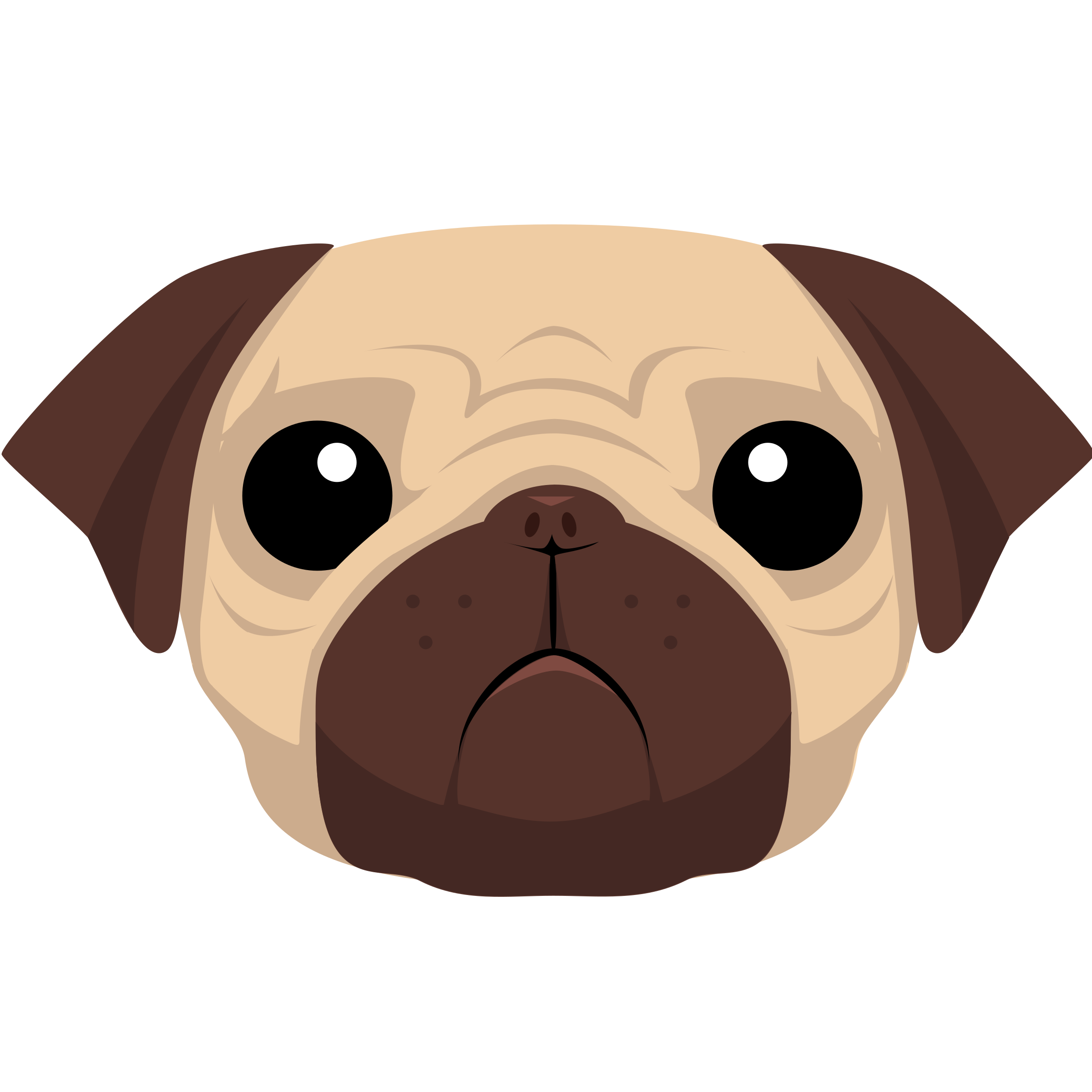 Cute Pug PNG Image File