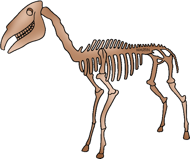 Dinosaur Bones Fossils PNG Clipart
