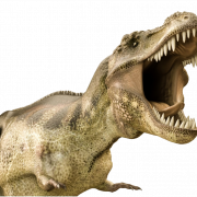 Dinosaur Bones Fossils PNG Fichier