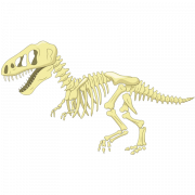 Dinosaurus Bones Fossils PNG File Unduh Gratis