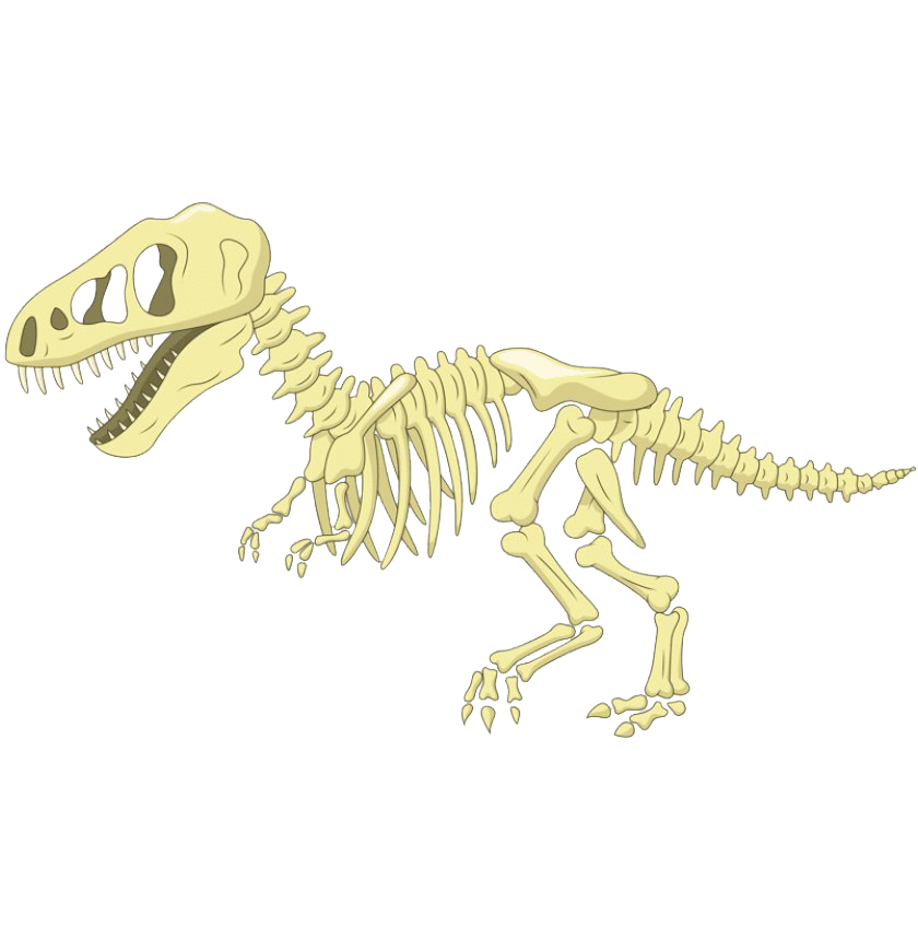 Dinosaur Bones Fossils PNG File Download Free