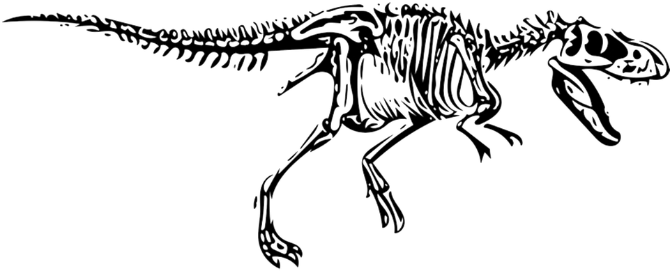 Dinosaur Bones Fossils PNG Free Image