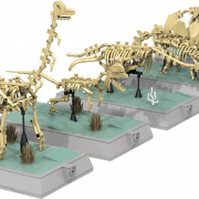 Dinosaurierknochen Fossilien PNG Pic