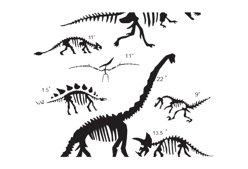 Dinosaur Bones Fossils