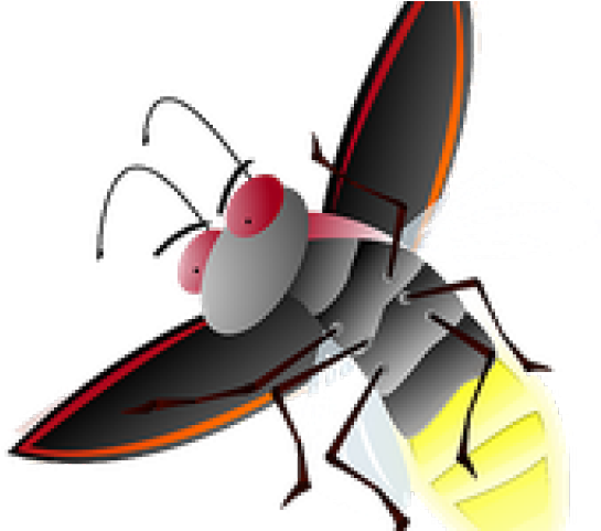 Firefly Glow PNG Image