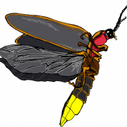 Firefly PNG -bestand