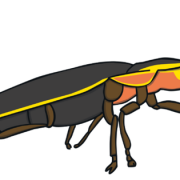 Arquivo de imagem png de firefly