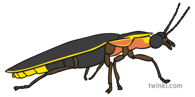 Firefly PNG Image File