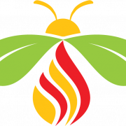 Firefly PNG Picture