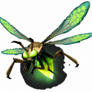 Firefly PNG transparante HD -foto