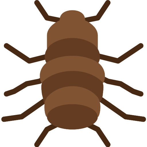 Insecto de pulgas transparente