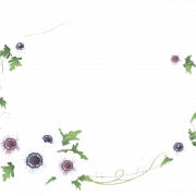 Image PNG du cadre bleu floral