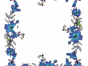 Floral Blue Frame Transparent