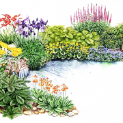 Jardín de flores PNG Imagen de alta calidad