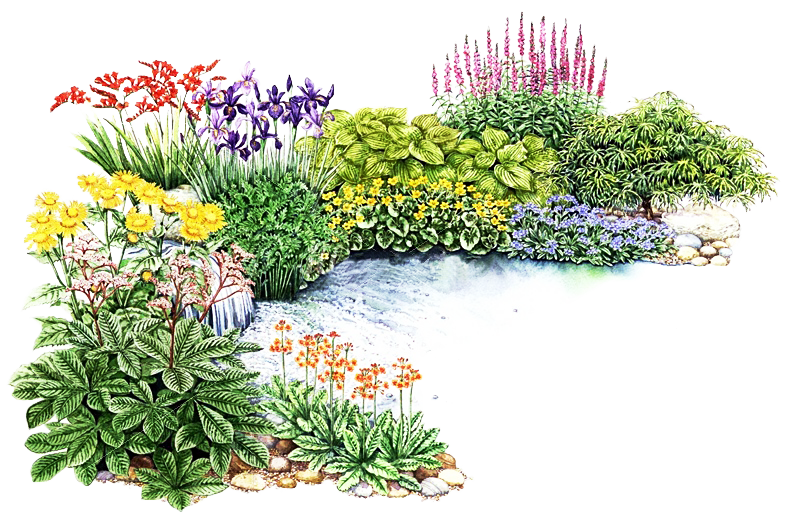Flower Garden PNG High Quality Image