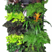 File PNG Garden PNG File