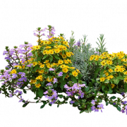 Imagens PNG do jardim de flores