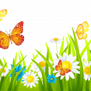 Flower Garden PNG Picture